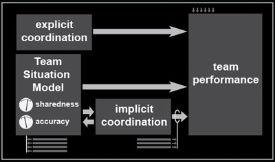 Team Performance, Coordination, and TSMs
